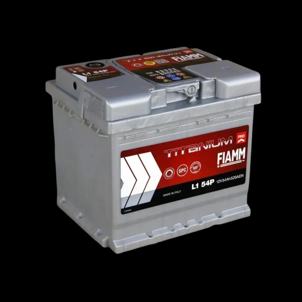 Fiamm Battery